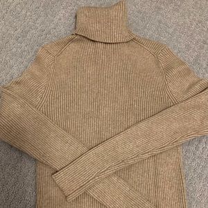 Zara Knit Turtleneck
